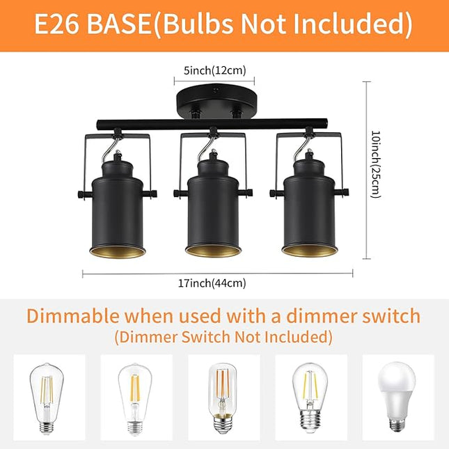 SEEBLEN Kitchen Track Lighting Fixtures Ceiling,3 Light Wall/Ceiling Light with