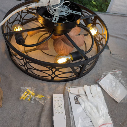 20" Caged Ceiling Fans with Lights Remote Control Low Profile Flush Mount Ceilin