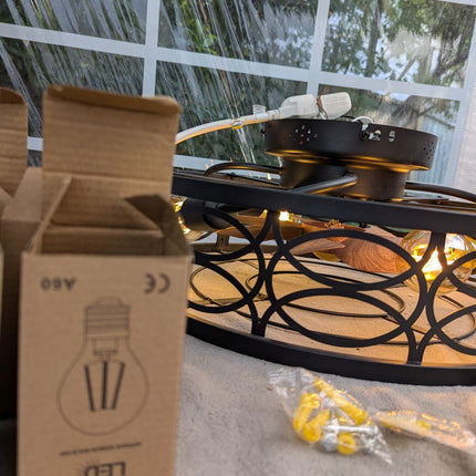 20" Caged Ceiling Fans with Lights Remote Control Low Profile Flush Mount Ceilin