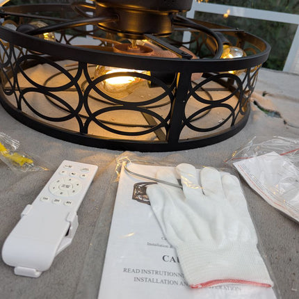 20" Caged Ceiling Fans with Lights Remote Control Low Profile Flush Mount Ceilin