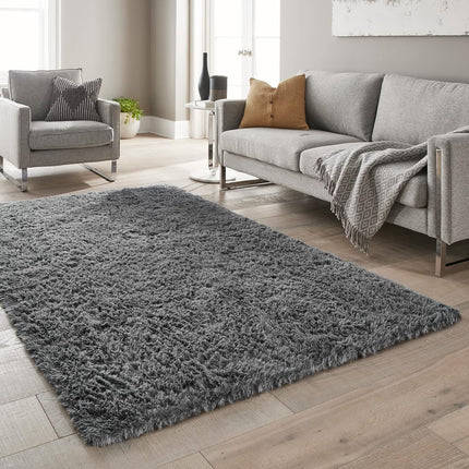 Ophanie Rugs for Living Room 5x8 Gray, Plush Soft Fuzzy Shag Carpets for Living