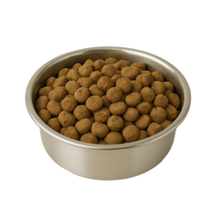 Collection image for: Animals & Pet Supplies – Care, Comfort & Fun for Every Pet