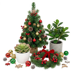 Collection image for: Artificial Plants & Seasonal Decor