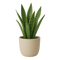 Home & Garden