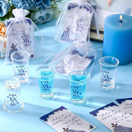 Havawish 25 Sets Quinceanera Party Favors for Guests Quinceanera Acrylic Clear S