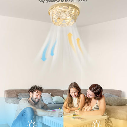 DSYBRI 20 Inch Boho Chandelier Ceiling Fan with Light, Caged Indoor Ceiling Fan