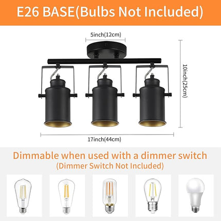 SEEBLEN Kitchen Track Lighting Fixtures Ceiling,3 Light Wall/Ceiling Light with