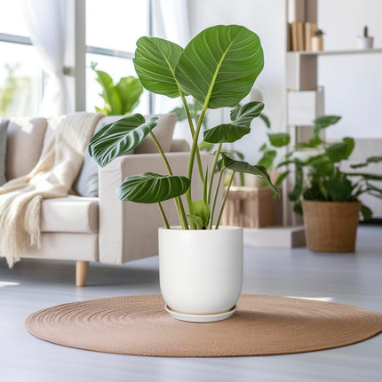 SUNPOTFOR Plant Pot 12 inch - Ceramic Pot for Plants Indoor Outdoor Large Plante