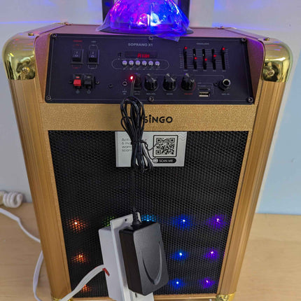 MASINGO Karaoke Machine for Adults and Kids with 2 Bluetooth Wireless Microphone