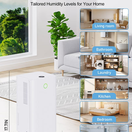 Dehumidifier 25 Pints/Day, Dehumidifier for Basement, Bedroom, with 3 Working Mo
