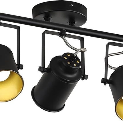 SEEBLEN Kitchen Track Lighting Fixtures Ceiling,3 Light Wall/Ceiling Light with