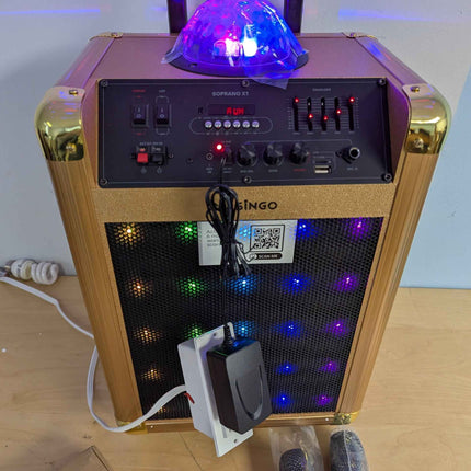 MASINGO Karaoke Machine for Adults and Kids with 2 Bluetooth Wireless Microphone