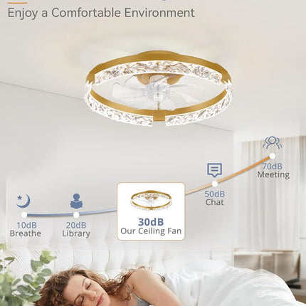 LEDIARY 20 Inch Low Profile Ceiling Fans with Lights and Remote, Fandelier Ceili