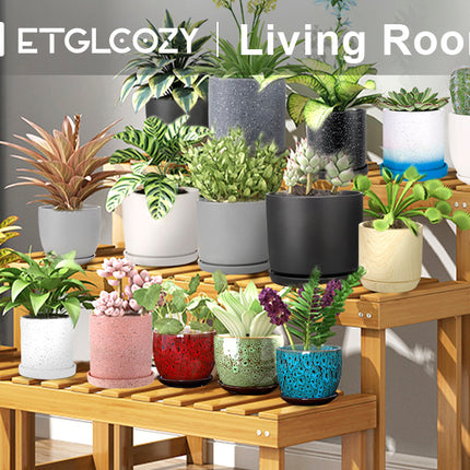 ETGLCOZY Ceramic Planter Pot with Drainage Hole and Saucer, 5.5/5/4.1 inch Flowe