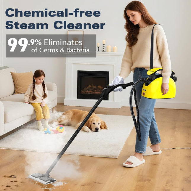 Waitbird Steam Cleaner, Multipurpose Powerful Steamer with 21 Accessories, Porta