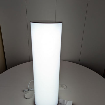 Bright Health 24 Inch Light Therapy Lamp - 10,000 LUX