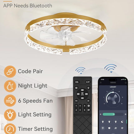 LEDIARY 20 Inch Low Profile Ceiling Fans with Lights and Remote, Fandelier Ceili