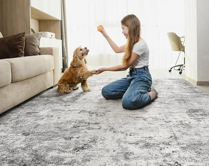 UERMEI 5x7 Area Rug Living Room Rugs - Washable Neutral Modern Abstract Soft Thi