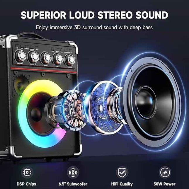 (No remote) Karaoke Machine, Portable Bluetooth Karaoke Speaker with 2 Wireless