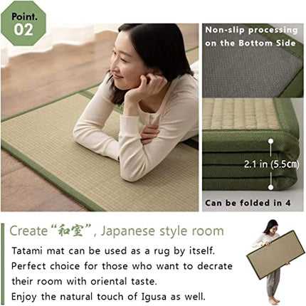 EMOOR Japanese Futon Mattress CLASSE Twin Made in Japan White, Foldable Floor Sl