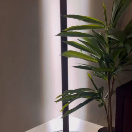 EDISHINE Wooden LED Corner Floor Lamp with Remote, Minimalist Dimmable Atmospher