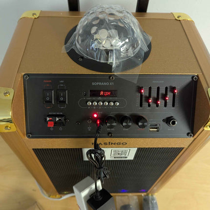 MASINGO Karaoke Machine for Adults and Kids with 2 Bluetooth Wireless Microphone