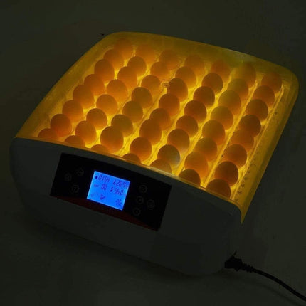Egg Incubator for Hatching 56 Chicken Eggs Automatic Turning Temperature Humidit