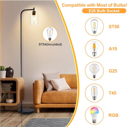 DLLT Floor Lamp Tall for Room: Black Standing Lamp with Clear Glass Lampshade fo