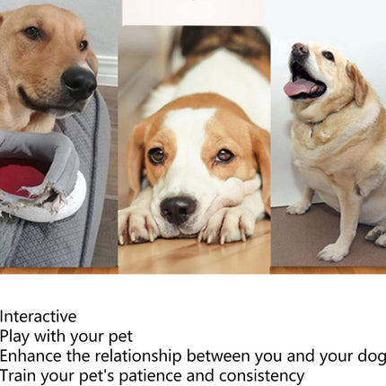 Automatic Dog Ball Launcher TITA