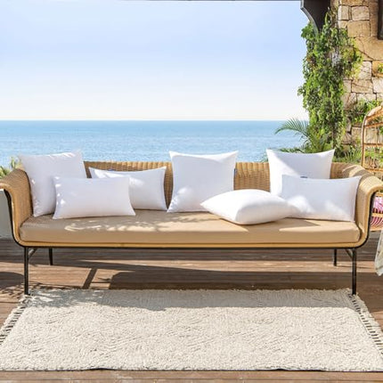 MIULEE Pack of 2 Pillow Insert 20x20 Inches Outdoor Waterproof Throw Pillow Inse