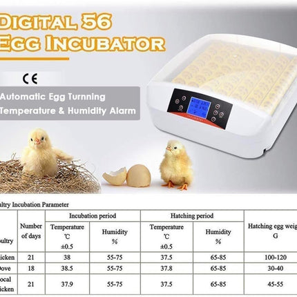 Egg Incubator for Hatching 56 Chicken Eggs Automatic Turning Temperature Humidit