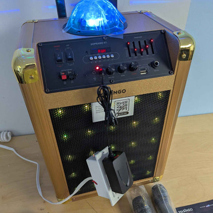 MASINGO Karaoke Machine for Adults and Kids with 2 Bluetooth Wireless Microphone