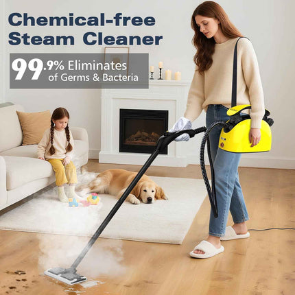 Waitbird Steam Cleaner, Multipurpose Powerful Steamer with 21 Accessories, Porta