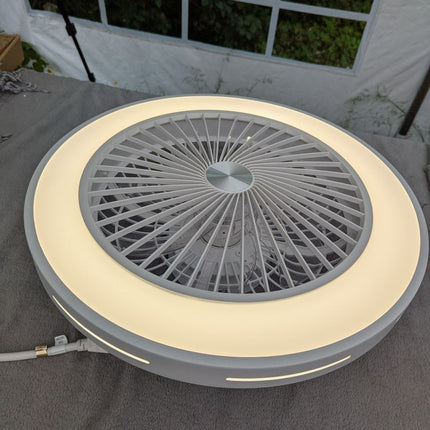 Fan Ceiling Light Ceiling Fan with LED Lighting and Remote Control 40W Ventilato