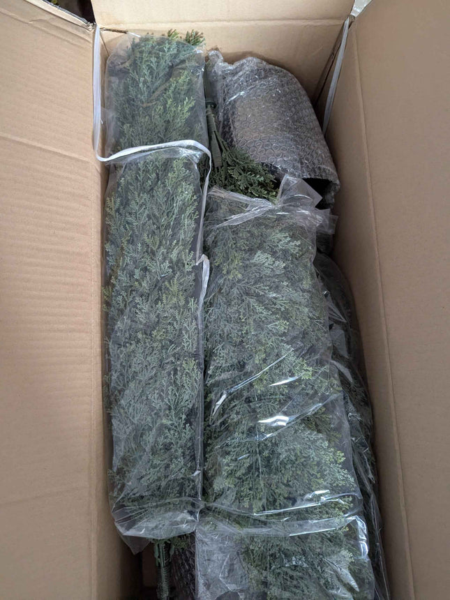 Laiwot 4FT Artificial Cedar Topiary Trees for Outdoors Potted Fake Cypress Trees Faux Evergreen Plants for Home Porch Decor Set of 2 https://a.co/d/0cPA0UZ9