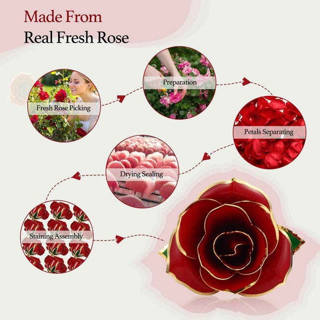 Easegain Gold Dipped Rose 24k Red Gold Plated Rose - Everlasting Long Stem Real