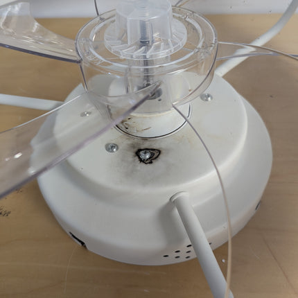 LEDIARY 20" Modern Ceiling Fans with Lights and Remote, Dimmable Low Profile Cei