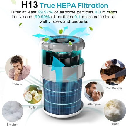2Pack Air Purifier for Home Bedroom with H13 True HEPA Filter for Smoke, Smokers
