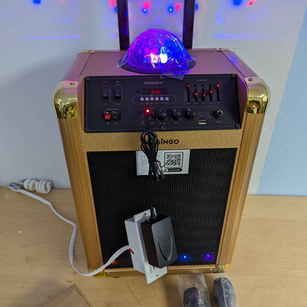 MASINGO Karaoke Machine for Adults and Kids with 2 Bluetooth Wireless Microphone