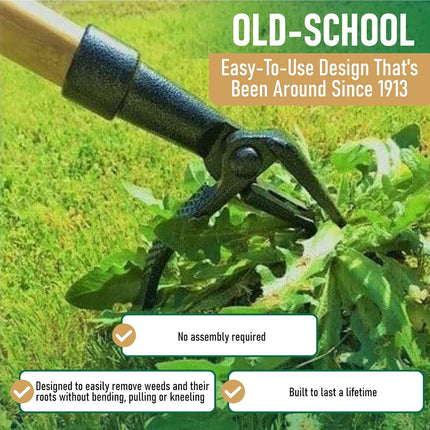 Grampa's Weeder - The Original Stand Up Weed Puller - Made with Real Bamboo & St