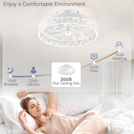 LEDIARY 20 Inch Low Profile Ceiling Fans with Lights and Remote, Fandelier Ceili