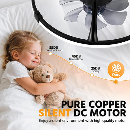 Linboro 20 inch low profile ceiling fan with lights and remote, black