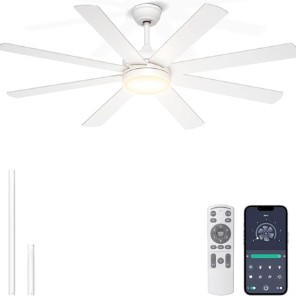 Phylluz 60 inch ceiling fan with light