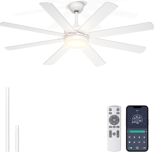 Phylluz 60 inch ceiling fan with light