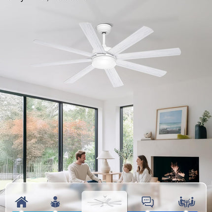Phylluz 60 inch ceiling fan with light