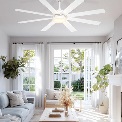 Phylluz 60 inch ceiling fan with light